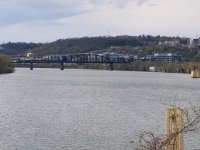 20210418_180114.jpg