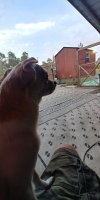 0418211948_HDR.jpg