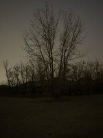 9185C5CE-A8E4-4EDB-B0C2-B0919036FC2A.jpeg
