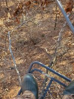 20201103_134131.jpg