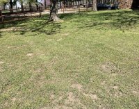 0CB3268B-A044-441B-A13D-537F7380D53B.jpeg