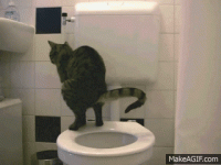 EmoQ0l.gif