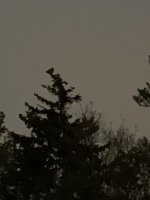 C030AC2C-3892-429F-B6F3-E60BF48B611A.jpeg