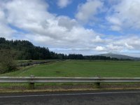 2E87685D-0931-40D0-B581-DF0C6145CD5F.jpeg
