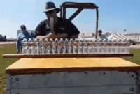 2669C3D8-DD56-4B31-8594-F4522A7627E8.gif