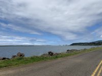 70DC1D33-D41B-4DBA-8DD3-61888AAA2272.jpeg