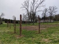 PXL_20210427_234702845.jpg