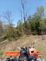 IMG_20210427_124754.jpg