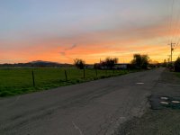 344C6715-E42F-43AE-A167-30958FDDB6D0.jpeg