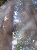 100_3040.JPG