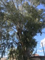 IMG_3687.JPG