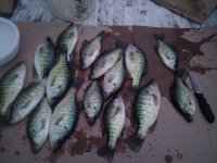 IMG_20210501_202122.jpg