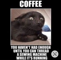 A0FFFBAD-F804-45B6-B94A-9FFB13696A8A.jpeg