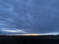 A4405188-D16B-4740-987E-6FC0938375AA.jpeg