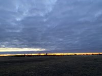 F4B55C7D-869E-43A0-B241-DDD66ADC8534.jpeg