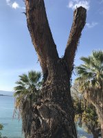 33AF657B-EDE0-4D36-871A-9978BC2E85D1.jpeg