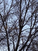 806F5427-8173-4049-AC5D-3B17E62D65B6.jpeg