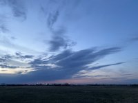 AF3E95C2-D1B1-4A37-AA94-503A6D9CB754.jpeg