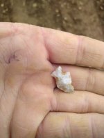IMG_20210518_113033.jpg
