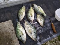 IMG_20210517_181045.jpg