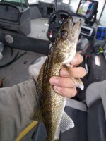 IMG_20210517_104823.jpg