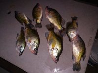 IMG_20210516_204755.jpg