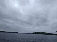 IMG_20210520_114638.jpg
