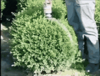 A1496791-3713-4D79-8F97-C81D5D8A1DC5.gif