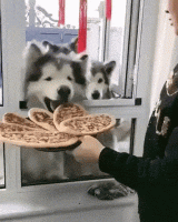 DBB8D32F-943C-4AB0-AF16-795BCEAB410D.gif