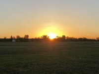 6AEA63D8-7BA0-426C-8F66-D310A0025663.jpeg