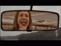 BestDefenselessFishingcat-size_restricted.gif