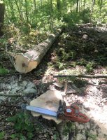 055BE40F-7D40-447C-A952-CF4138584AC0.jpeg
