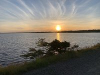 9909BA51-F5F5-49C1-936C-E229F9FBF638.jpeg