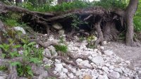 20180510_153401.jpg