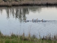 7141DBAA-9AE7-415C-97EF-054B3F9EA39F.jpeg