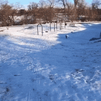 7174D263-1315-4B67-A17A-4444B3D0576C.gif