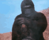 263EE686-D126-44CF-8CD3-7A323773F557.gif