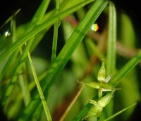 DSC01731-Exposure (1280x1102).jpg