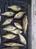 IMG_20210605_183235.jpg