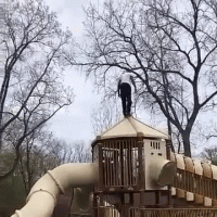 8EF86D14-CFAC-41FE-BC8C-F8540E4C517D.gif