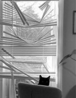 2F748ECC-DC95-4896-84CF-D2A59F49D532.jpeg