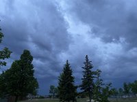 C60CC2A6-9527-4F89-8155-86C5ECCB18C5.jpeg