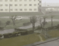 B816A326-AF89-4B86-BADC-9AF9E8E89CA1.gif