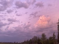E69BC073-29DB-400E-B7F6-FE5936E77740.jpeg
