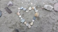 20180510_152912.jpg