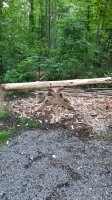 20210613_175759.jpg