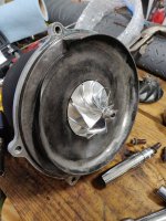 IMG_20200924_080444.jpg IMG_20200924_080444.jpg