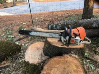 IMG_7263.jpeg IMG_7263.jpeg