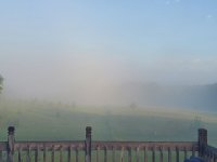 20210618_055716.jpg