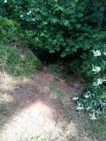 IMG_20210620_161647.jpg